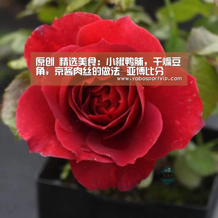原创 精选美食:小椒鸭脯,干煸豆角,京酱肉丝的做法-亚博比分(图1) 亚博比分